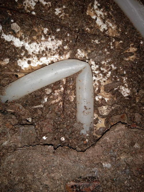 虎林堵点精准查找